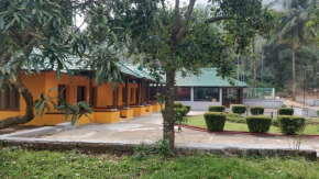 Sherlock Jungle Retreat